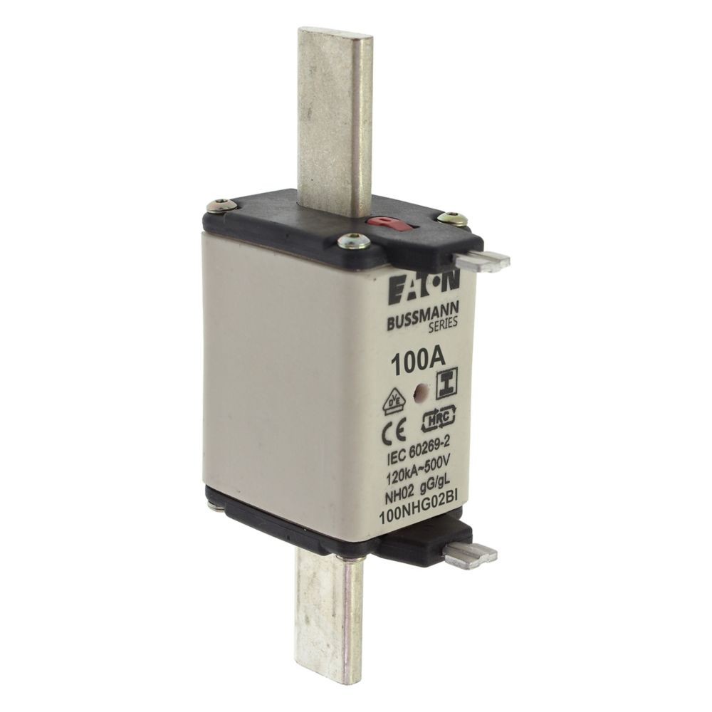 100A 500V GL/GG SIZE 02 NH FUSE