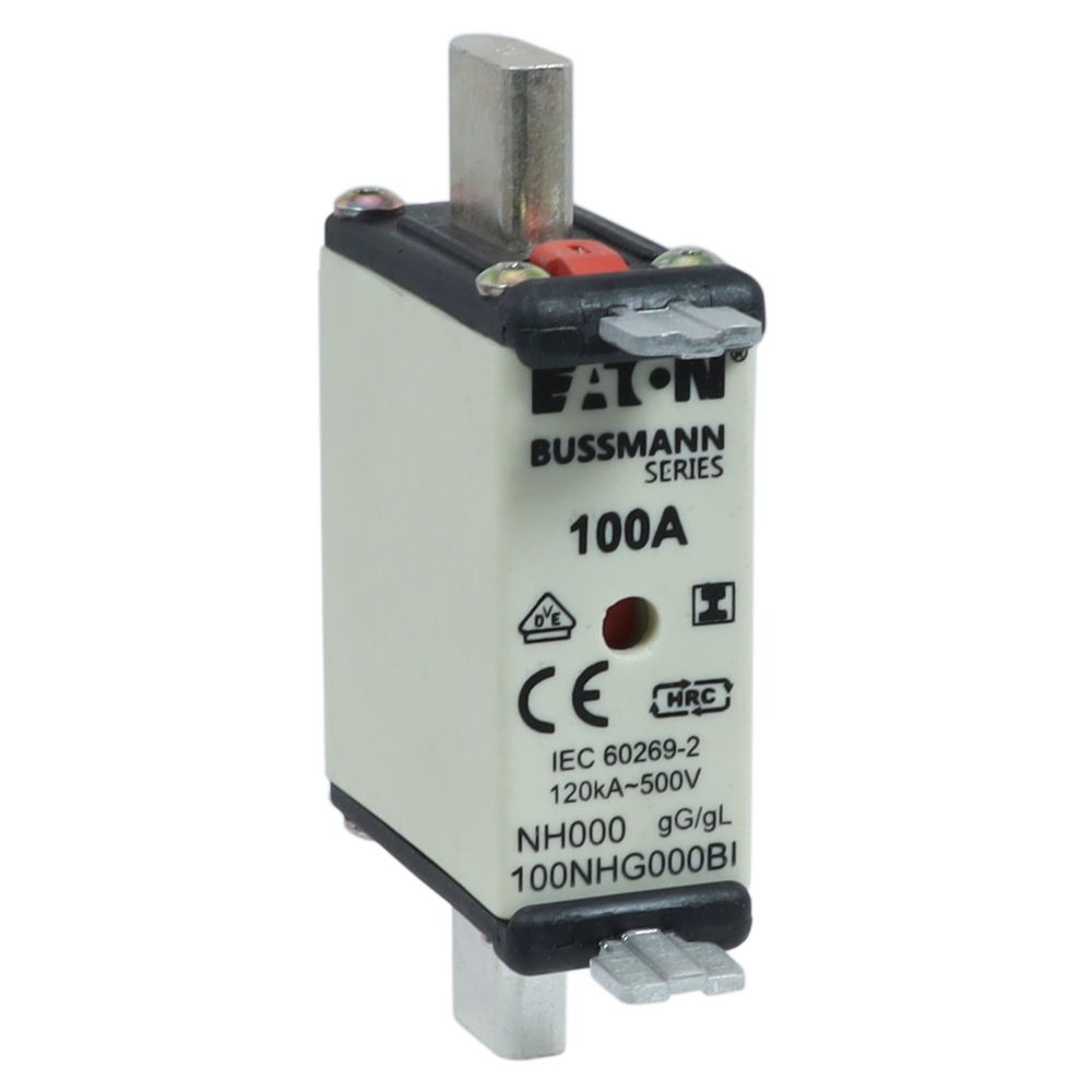 100AMP 500V GL/GG SIZE 000 NH FUSE