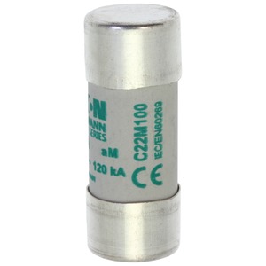 CYL FUSE >STR >22 x 58 100A GG 500V AC